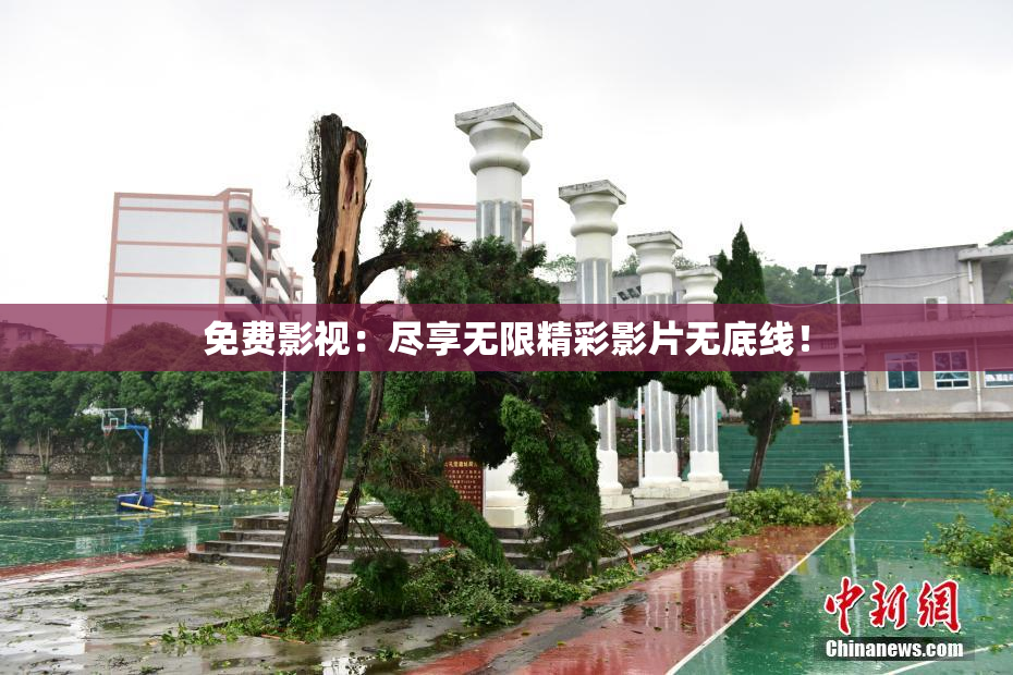 免费影视：尽享无限精彩影片无底线！