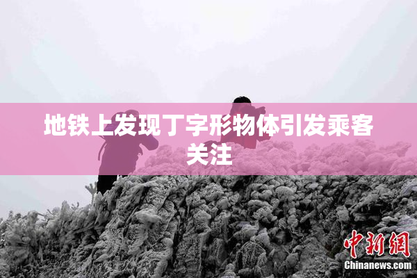 地铁上发现丁字形物体引发乘客关注