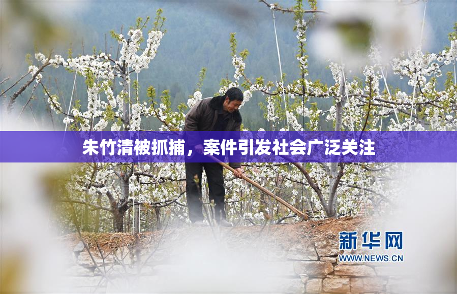 朱竹清被抓捕，案件引发社会广泛关注