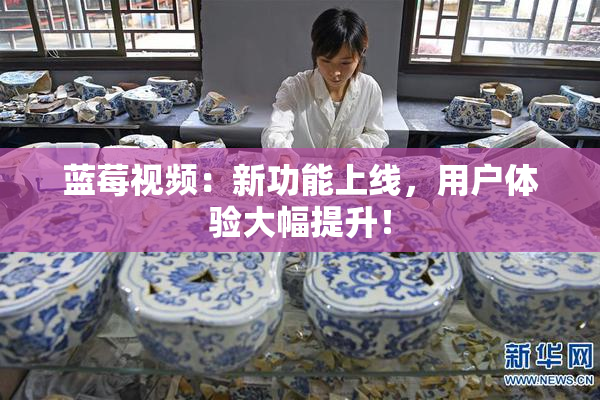 蓝莓视频：新功能上线，用户体验大幅提升！