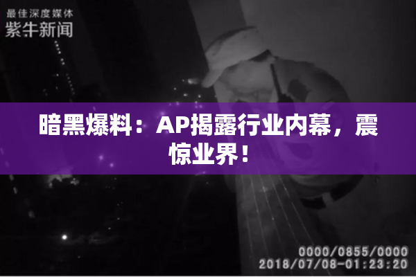 暗黑爆料：AP揭露行业内幕，震惊业界！
