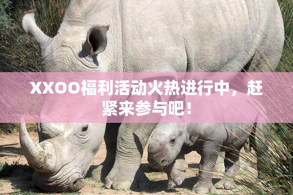 XXOO福利活动火热进行中，赶紧来参与吧！
