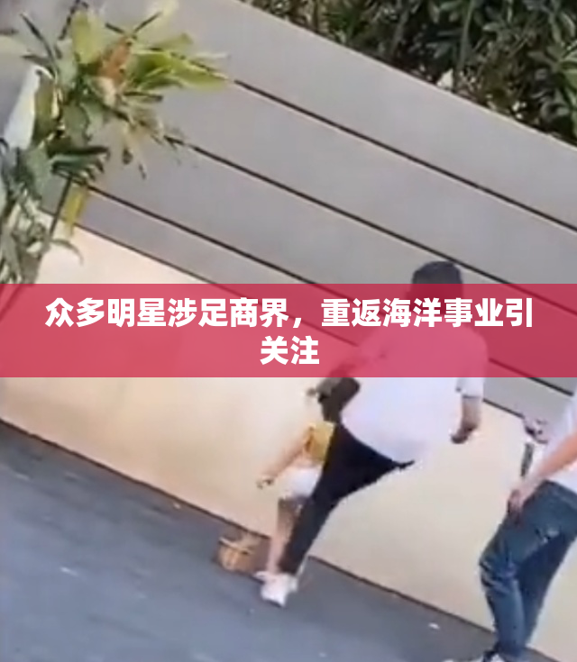 众多明星涉足商界，重返海洋事业引关注