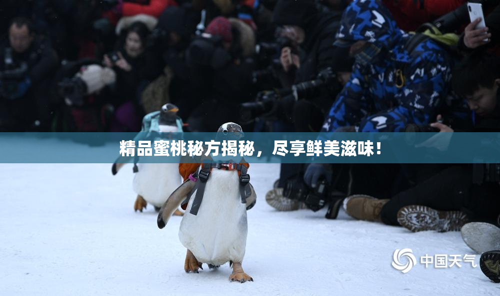 精品蜜桃秘方揭秘，尽享鲜美滋味！