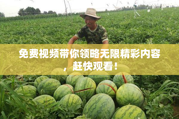 免费视频带你领略无限精彩内容，赶快观看！
