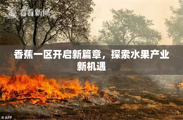 香蕉一区开启新篇章，探索水果产业新机遇