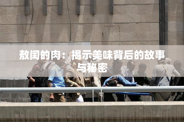 敖闰的肉：揭示美味背后的故事与秘密