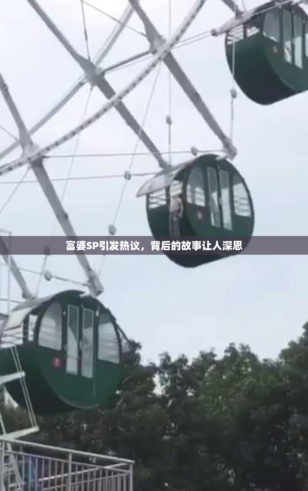 富婆SP引发热议，背后的故事让人深思