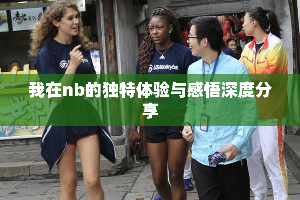 我在nb的独特体验与感悟深度分享