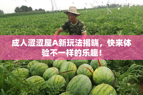 成人涩涩屋A新玩法揭晓，快来体验不一样的乐趣！