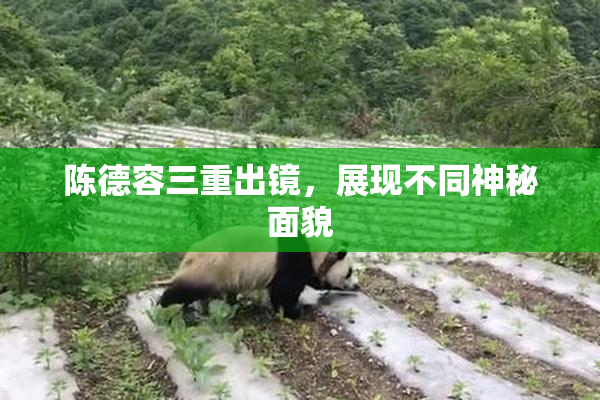 陈德容三重出镜，展现不同神秘面貌