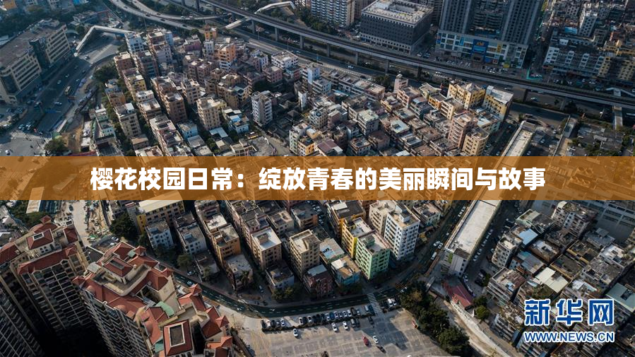 樱花校园日常：绽放青春的美丽瞬间与故事