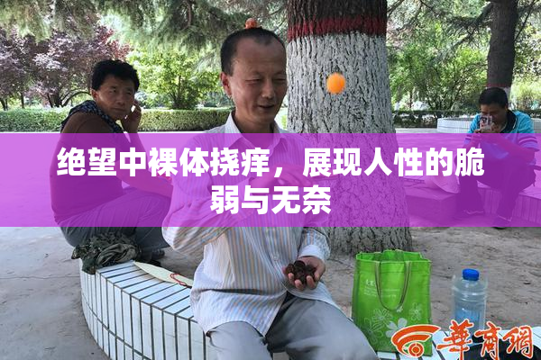 绝望中裸体挠痒，展现人性的脆弱与无奈