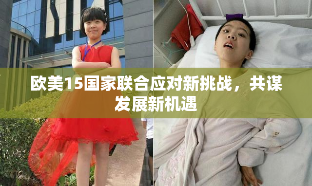 欧美15国家联合应对新挑战，共谋发展新机遇