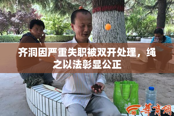 齐洞因严重失职被双开处理，绳之以法彰显公正
