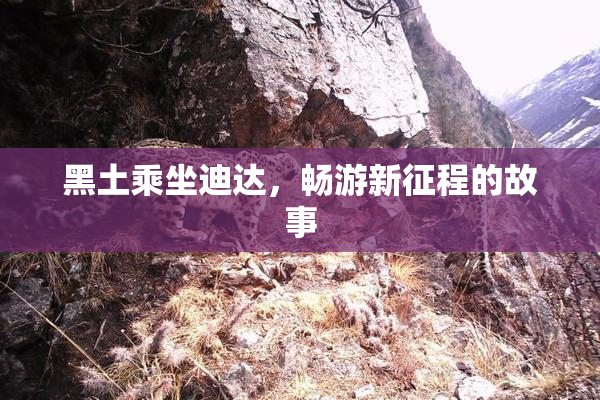 黑土乘坐迪达，畅游新征程的故事