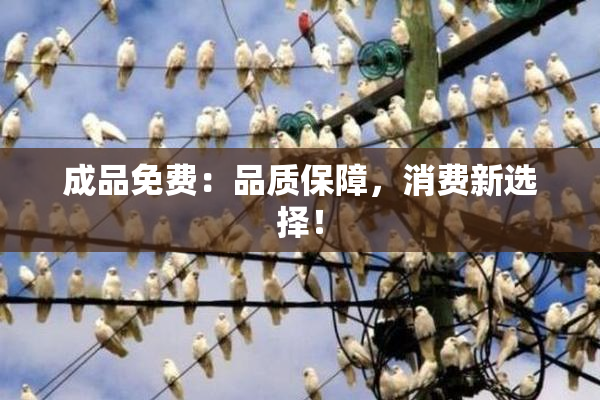 成品免费：品质保障，消费新选择！