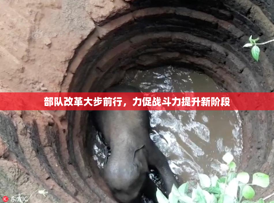 部队改革大步前行，力促战斗力提升新阶段