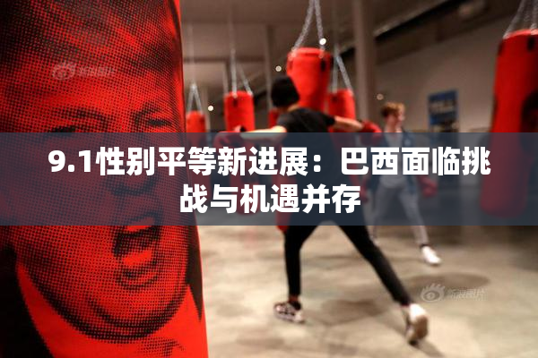 9.1性别平等新进展：巴西面临挑战与机遇并存