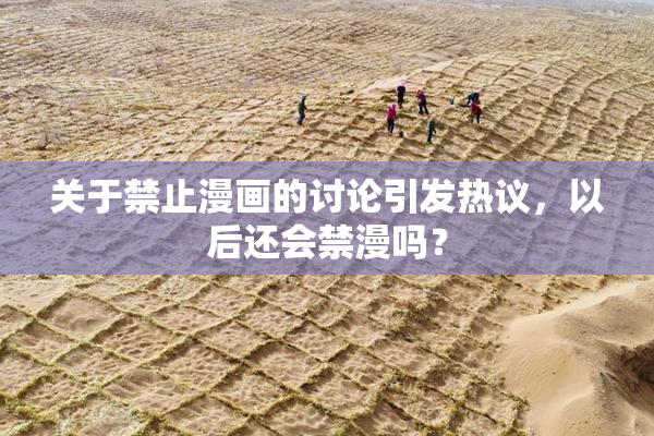 关于禁止漫画的讨论引发热议，以后还会禁漫吗？