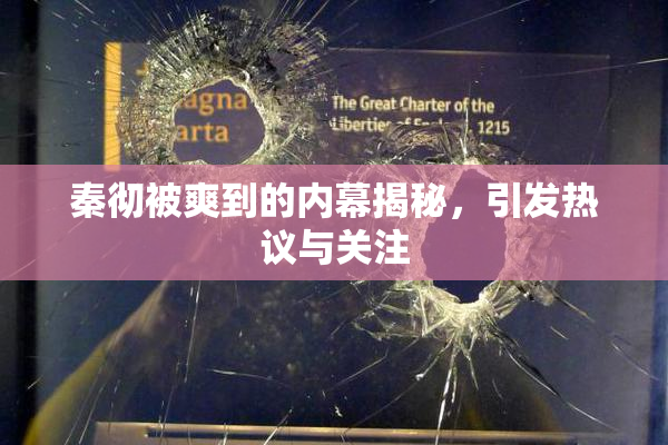 秦彻被爽到的内幕揭秘，引发热议与关注