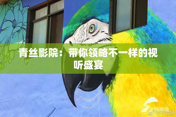 青丝影院：带你领略不一样的视听盛宴