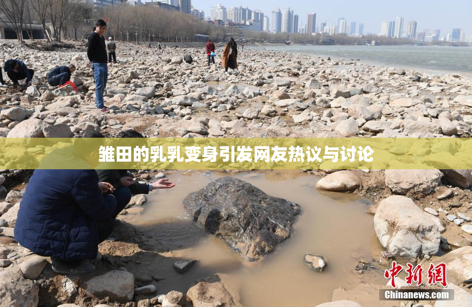 雏田的乳乳变身引发网友热议与讨论