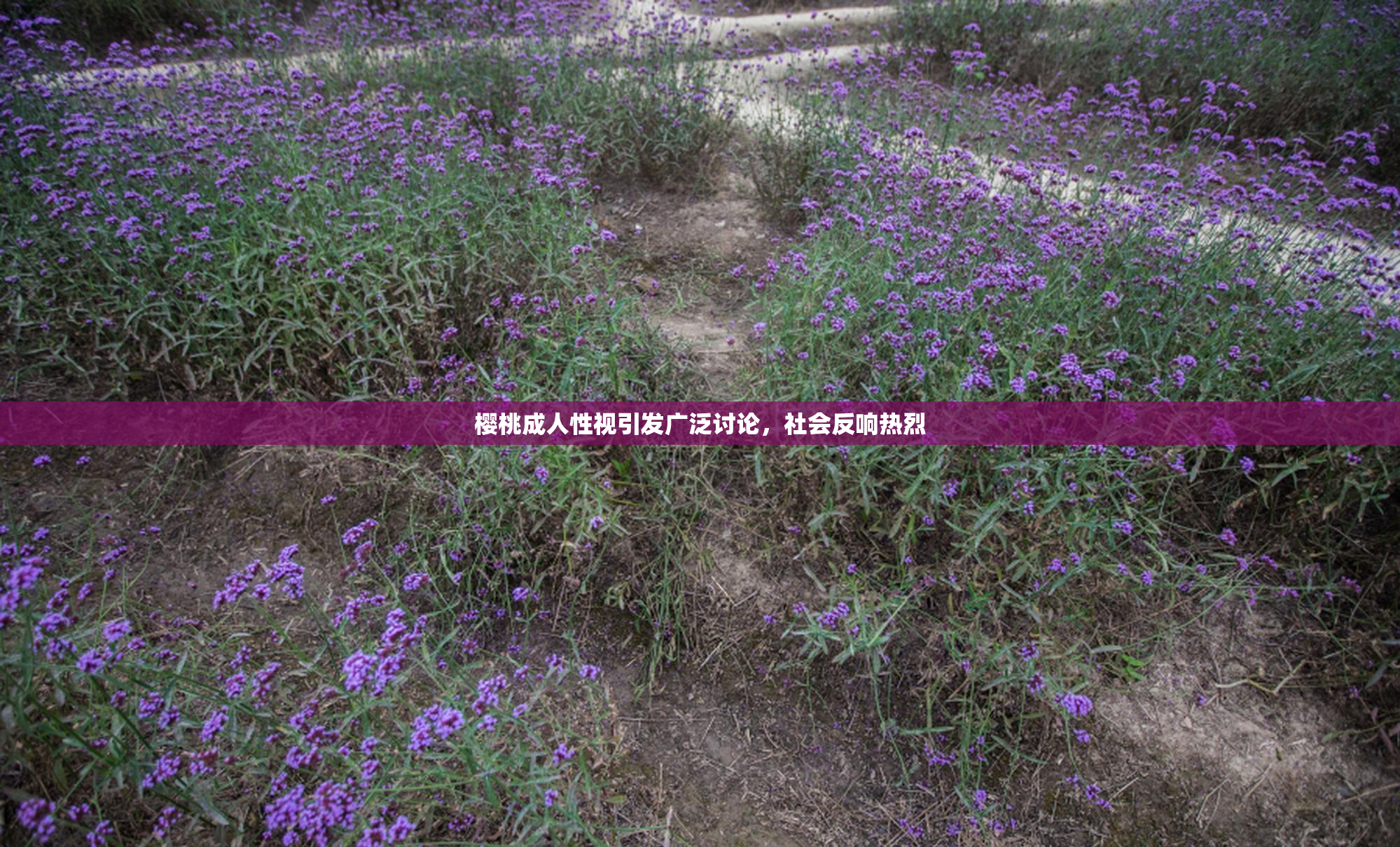 樱桃成人性视引发广泛讨论，社会反响热烈