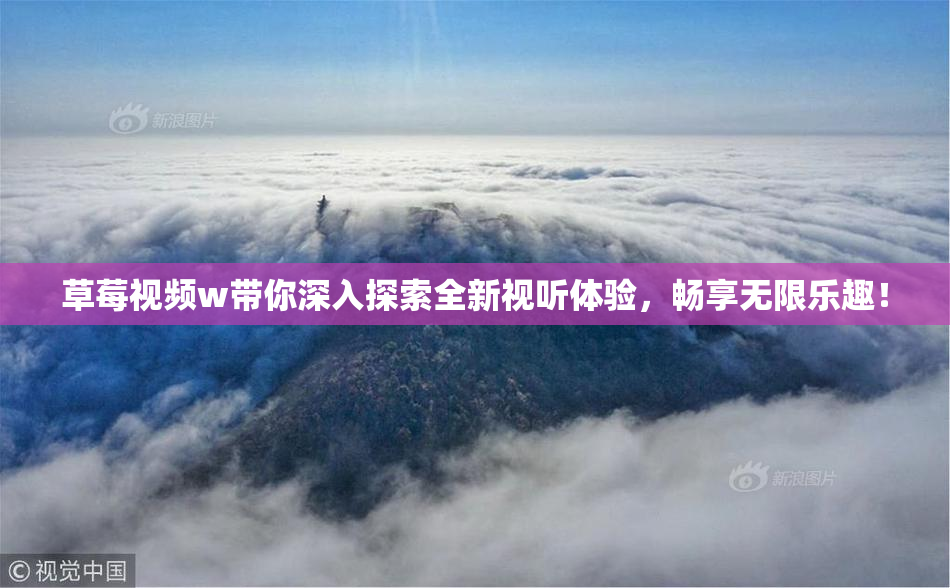 草莓视频w带你深入探索全新视听体验，畅享无限乐趣！