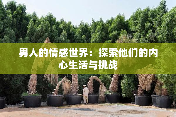男人的情感世界：探索他们的内心生活与挑战