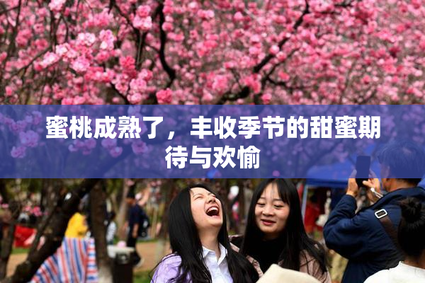 蜜桃成熟了，丰收季节的甜蜜期待与欢愉