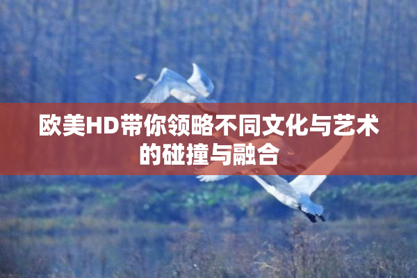欧美HD带你领略不同文化与艺术的碰撞与融合