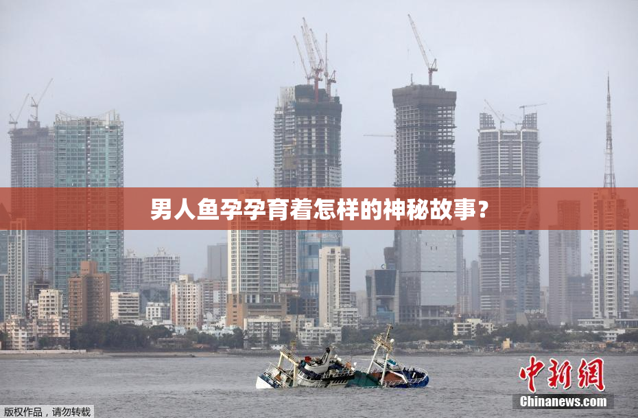 男人鱼孕孕育着怎样的神秘故事？