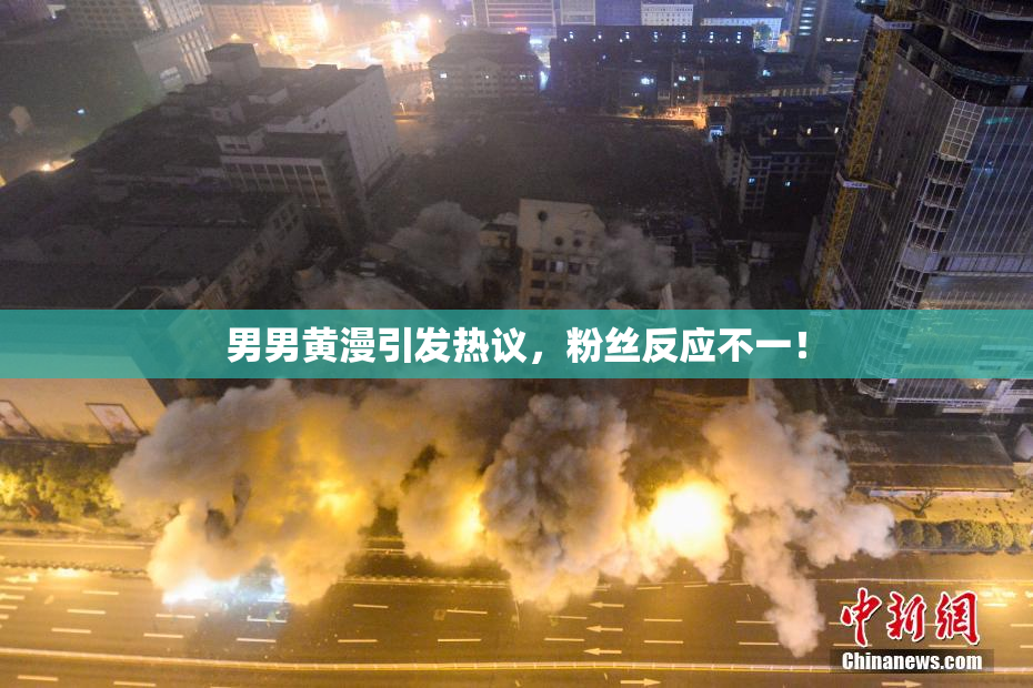 男男黄漫引发热议，粉丝反应不一！