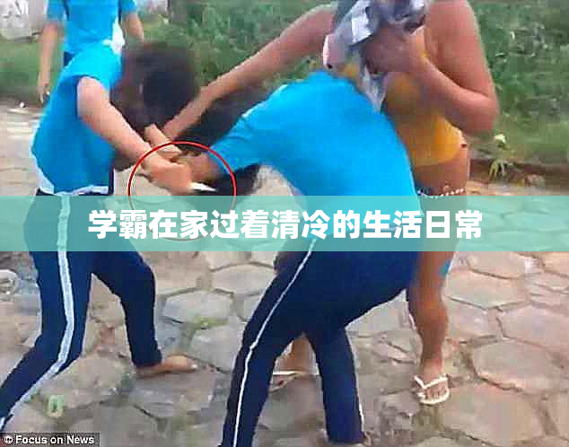 学霸在家过着清冷的生活日常