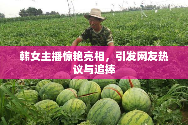 韩女主播惊艳亮相，引发网友热议与追捧