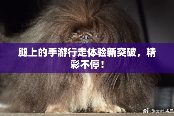 腿上的手游行走体验新突破，精彩不停！