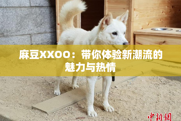 麻豆XXOO：带你体验新潮流的魅力与热情