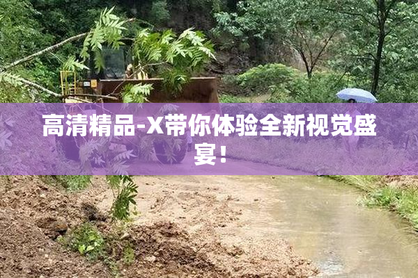 高清精品-X带你体验全新视觉盛宴！