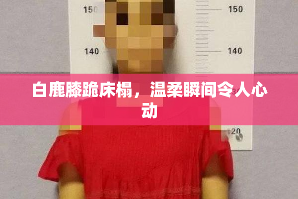 白鹿膝跪床榻，温柔瞬间令人心动