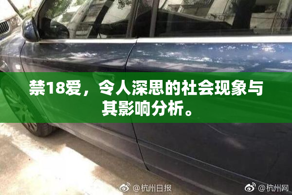 禁18爱，令人深思的社会现象与其影响分析。