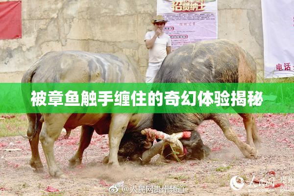 被章鱼触手缠住的奇幻体验揭秘