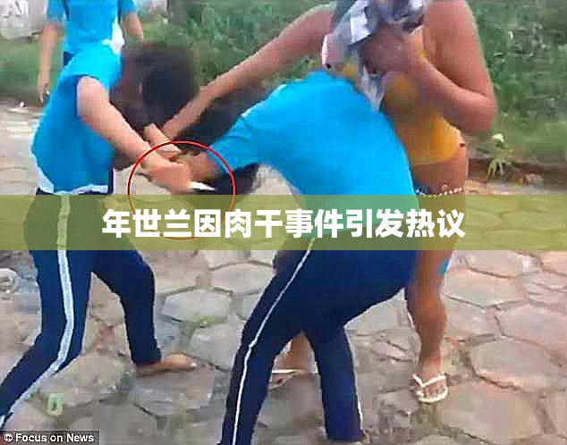 年世兰因肉干事件引发热议