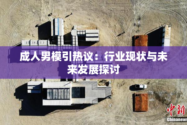 成人男模引热议：行业现状与未来发展探讨