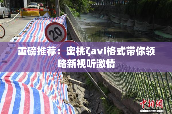 重磅推荐：蜜桃ζavi格式带你领略新视听激情