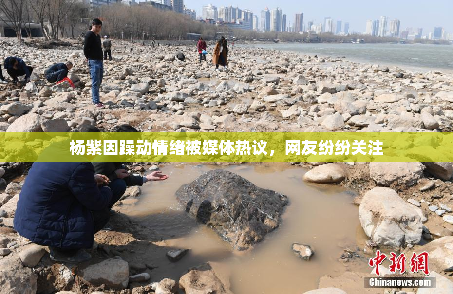 杨紫因躁动情绪被媒体热议，网友纷纷关注