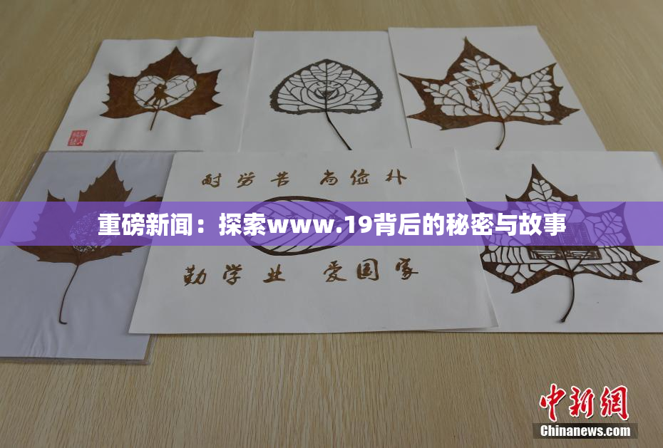 重磅新闻：探索www.19背后的秘密与故事