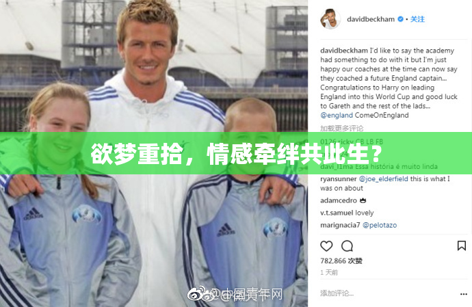 欲梦重拾，情感牵绊共此生？