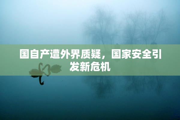 国自产遭外界质疑，国家安全引发新危机
