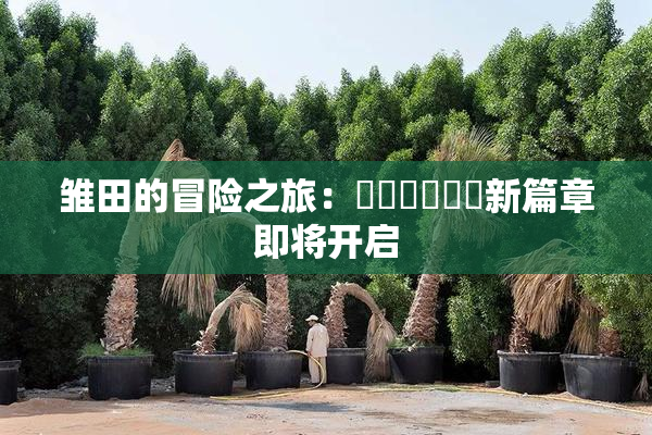 雏田的冒险之旅：❌‌❌‌❌‌新篇章即将开启
